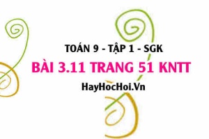 Bài 3.11 trang 51 Toán 9 tập 1 Kết nối tri thức